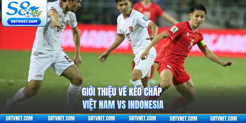 Giới thiệu về kèo chấp Việt Nam vs Indonesia