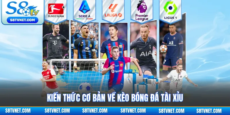 Kiến thức cơ bản về kèo bóng đá tài xỉu 