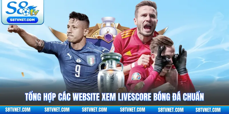 Tổng hợp các website xem livescore bóng đá chuẩn